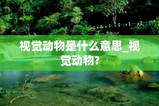 视觉动物是什么意思_视觉动物?