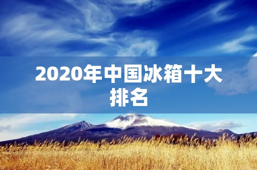 2020年中国冰箱十大排名:品质与创新的完美结合 2020年中国冰箱十大排名:品质与创新的完美结合