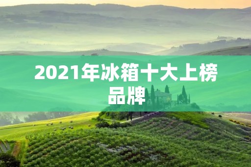 2021年冰箱十大上榜品牌：高品质与创新引领冷藏行业发展