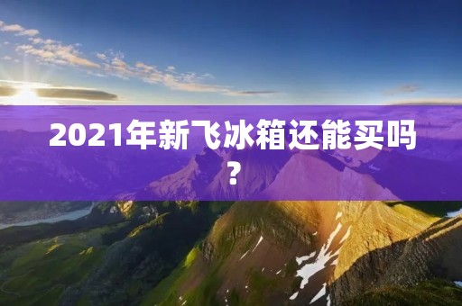 2021年新飞冰箱还能买吗？