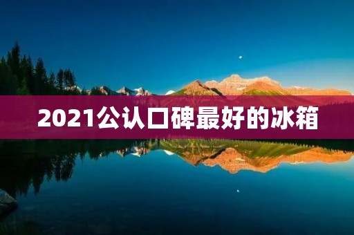 2021公认口碑最好的冰箱：为您带来冰凉与品质的完美结合