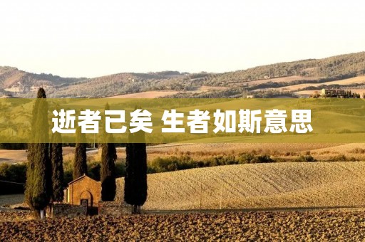 逝者已矣 生者如斯意思
