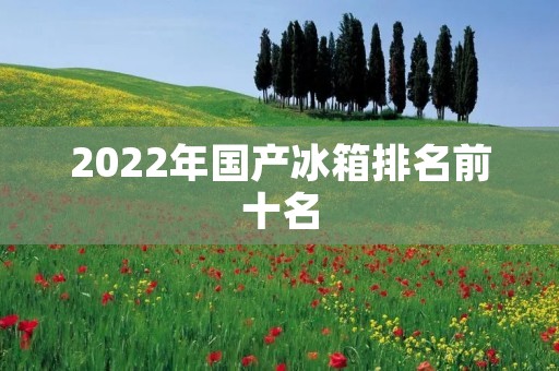 2022年国产冰箱排名前十名:为您推荐最佳冰箱选择 2022年国产冰箱排名前十名:为您推荐最佳冰箱选择