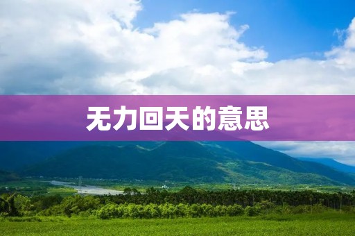 无力回天的意思 无力回天的意思