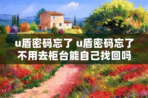 u盾密码忘了 u盾密码忘了不用去柜台能自己找回吗