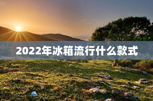 2022年冰箱流行什么款式