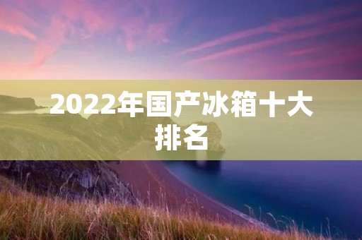 2022年国产冰箱十大排名：高性能与智能化引领行业发展