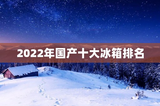 2022年国产十大冰箱排名：品质与创新并驾齐驱