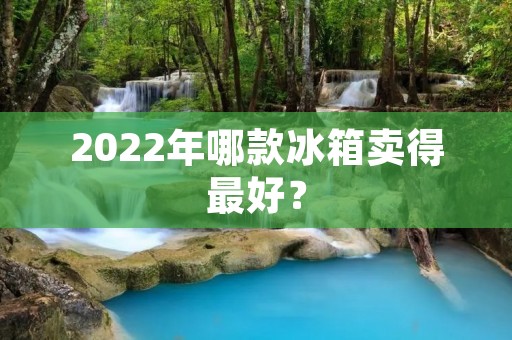 2022年哪款冰箱卖得最好? 2022年哪款冰箱卖得最好?