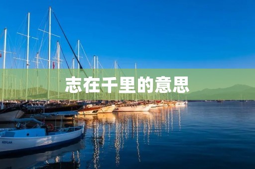 志在千里的意思
