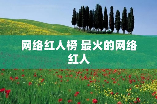 网络红人榜 最火的网络红人