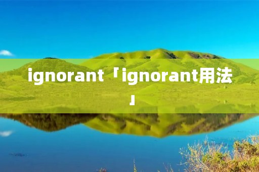 ignorant「ignorant用法」