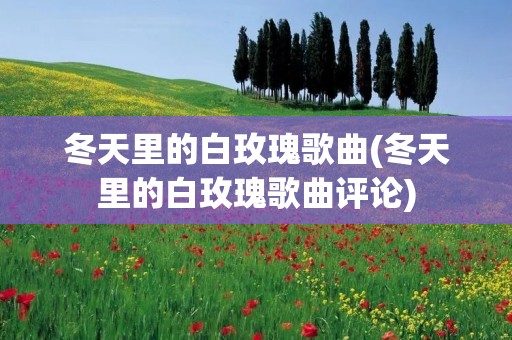 冬天里的白玫瑰歌曲(冬天里的白玫瑰歌曲评论)