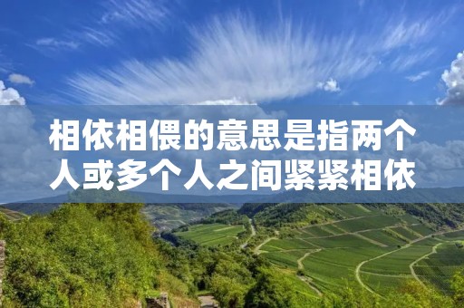 相依相偎的意思是指两个人或多个人之间紧紧相依，彼此靠近，形成一种亲密的关系。这种关系通常表达出一种深厚的情感和互相依赖的态度。相依相偎的意思可以用来形容两个恋人、亲人或者朋友之间的关系，他们彼此信任、支持和依靠，无论是在喜悦还是困境中都能够相互扶持。
