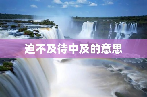 迫不及待中及的意思