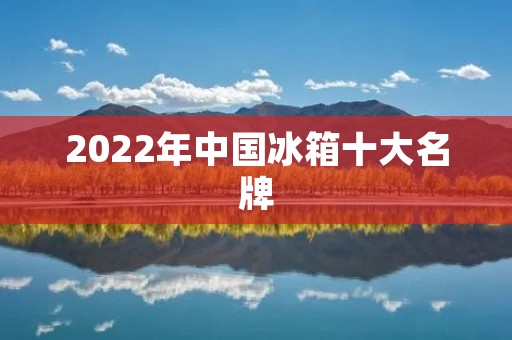 2022年中国冰箱十大名牌：品质与创新的完美结合