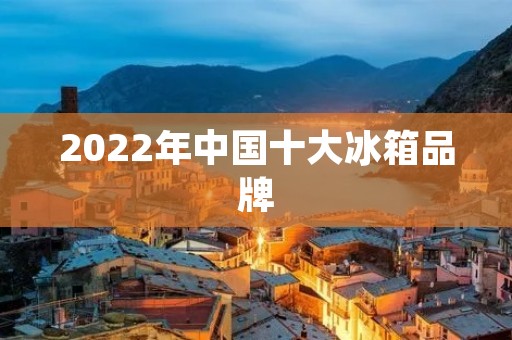 2022年中国十大冰箱品牌:市场竞争激烈,品质与创新并重 2022年中国十大冰箱品牌:市场竞争激烈,品质与创新并重