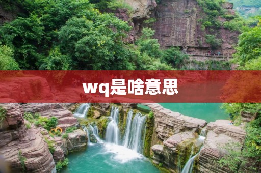 wq是啥意思