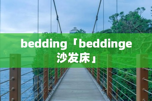 bedding「beddinge沙发床」