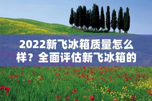2022新飞冰箱质量怎么样？全面评估新飞冰箱的性能与可靠性