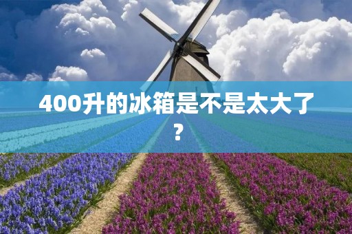 400升的冰箱是不是太大了? 400升的冰箱是不是太大了?