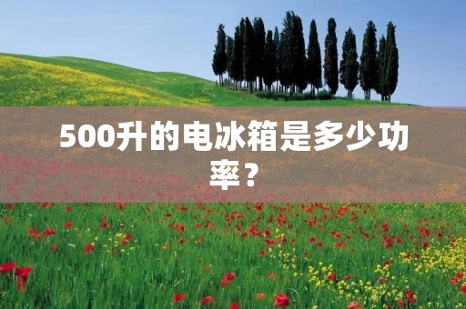 500升的电冰箱是多少功率? 500升的电冰箱是多少功率?