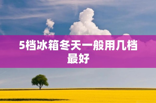 5档冰箱冬天一般用几档最好