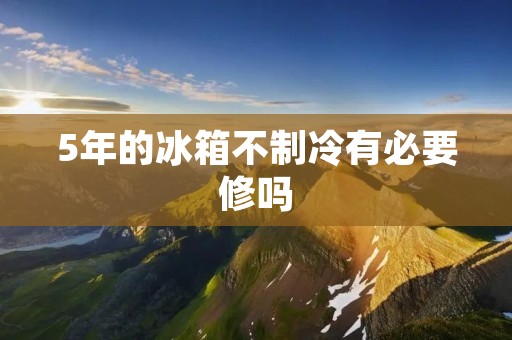5年的冰箱不制冷有必要修吗：原因分析及解决方法