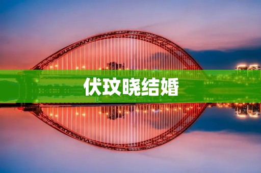 伏玟晓结婚:一个浪漫而温馨的时刻 伏玟晓结婚:一个浪漫而温馨的时刻