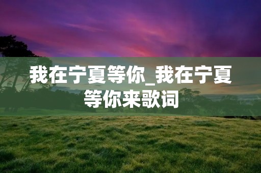 我在宁夏等你_我在宁夏等你来歌词
