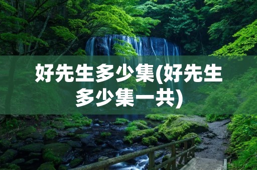 好先生多少集(好先生多少集一共)