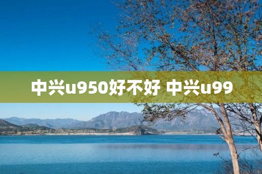 中兴u950好不好 中兴u990