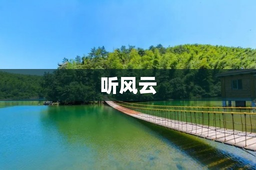 听风云:揭秘网络红人背后的故事 听风云:揭秘网络红人背后的故事