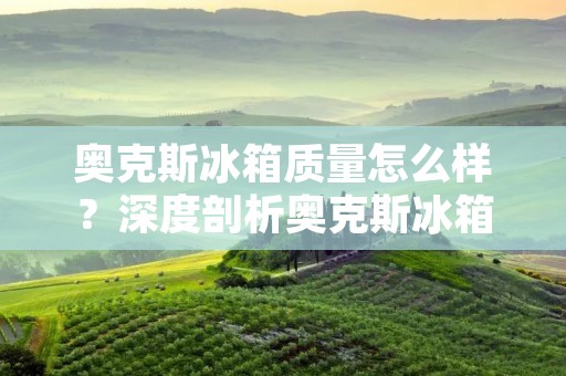 奥克斯冰箱质量怎么样？深度剖析奥克斯冰箱的性能和用户评价