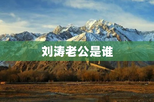 刘涛老公是谁 刘涛老公是谁