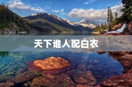 天下谁人配白衣 天下谁人配白衣