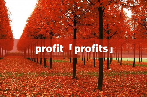 profit「profits」