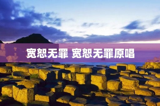 宽恕无罪 宽恕无罪原唱