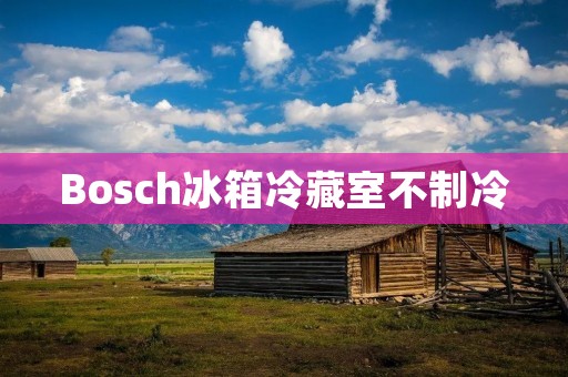 Bosch冰箱冷藏室不制冷：原因及解决方法