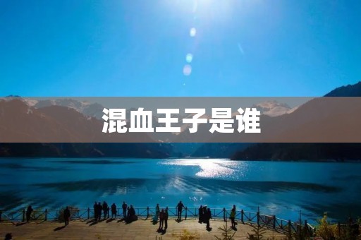 混血王子是谁 混血王子是谁