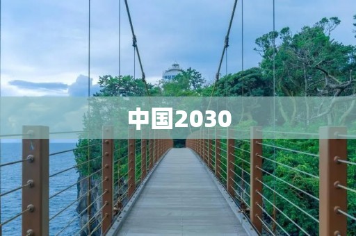 中国2030：迈向创新引领的新时代