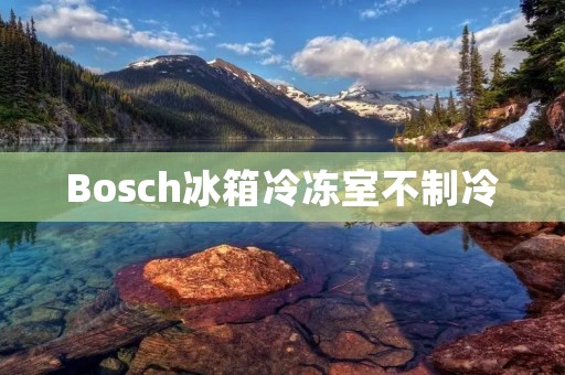 Bosch冰箱冷冻室不制冷：常见故障及解决办法