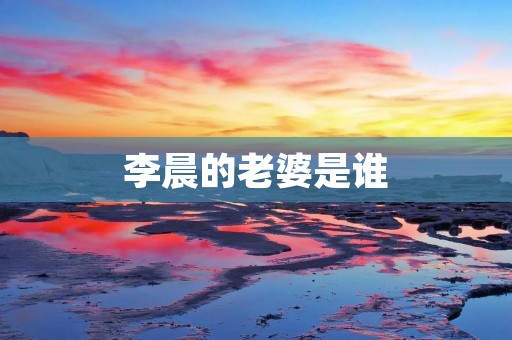 李晨的老婆是谁