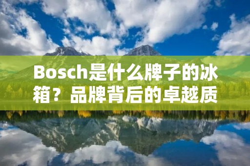 Bosch是什么牌子的冰箱?品牌背后的卓越质量与创新技术 Bosch是什么牌子的冰箱?品牌背后的卓越质量与创新技术