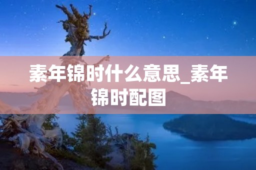 素年锦时什么意思_素年锦时配图
