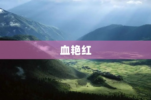 血艳红:探索红色之美的独特色彩 血艳红:探索红色之美的独特色彩