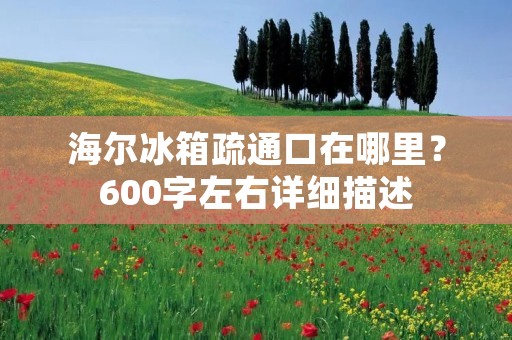 海尔冰箱疏通口在哪里?600字左右详细描述 海尔冰箱疏通口在哪里?600字左右详细描述