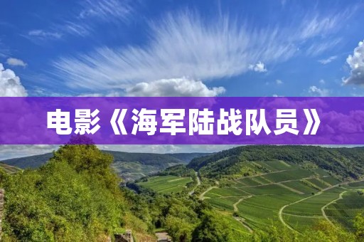 电影《海军陆战队员》:真实而感人的战争故事 电影《海军陆战队员》:真实而感人的战争故事