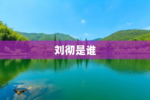 刘彻是谁