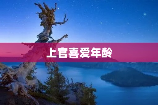上官喜爱年龄